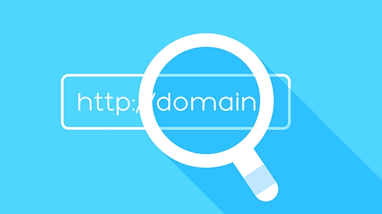 Domain Seçiminde Dikkat Edilmesi Gereken Hususlar Nelerdir?